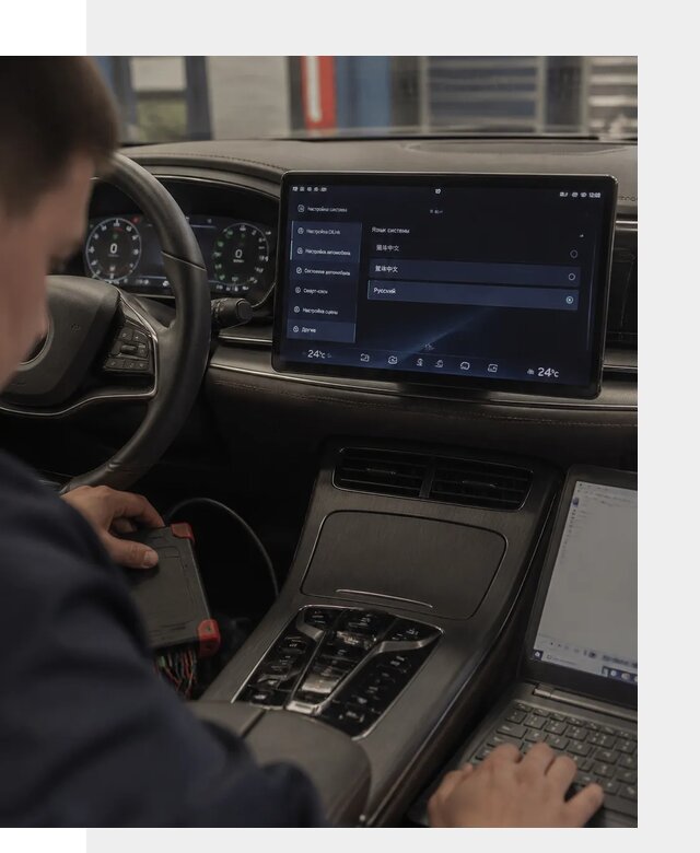 Русификация автомобиля BYD HAN для эксплуатации в Щёлкове