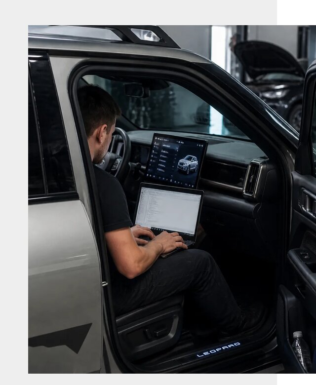 Русификация BYD Leopard 3 в Щёлкове по цене от 20702 р. | ФастМобиль-Щлк